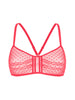 Iris Bralette - Papaya