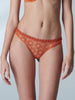Utopia Tanga - Jaipur Amber