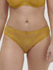progressive-brief-golden-yellow-embleme-11