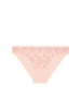 Brief - Petal Powder