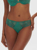 Brief - Garden Green
