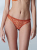 Utopia Tanga - Jaipur Amber