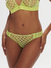 Brief - Lime