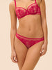 Brief - Cranberry
